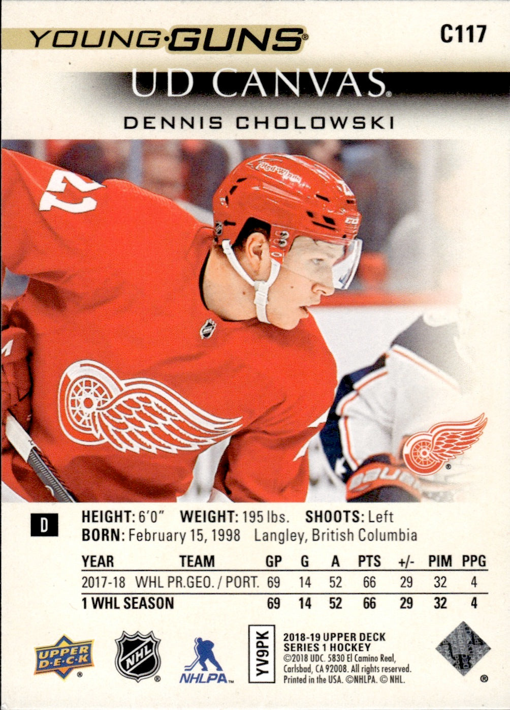 2018-19 Upper Deck Series 1 Hockey - Base - Young Guns Canvas #C117 Dennis Cholowski - Detroit Red Wings