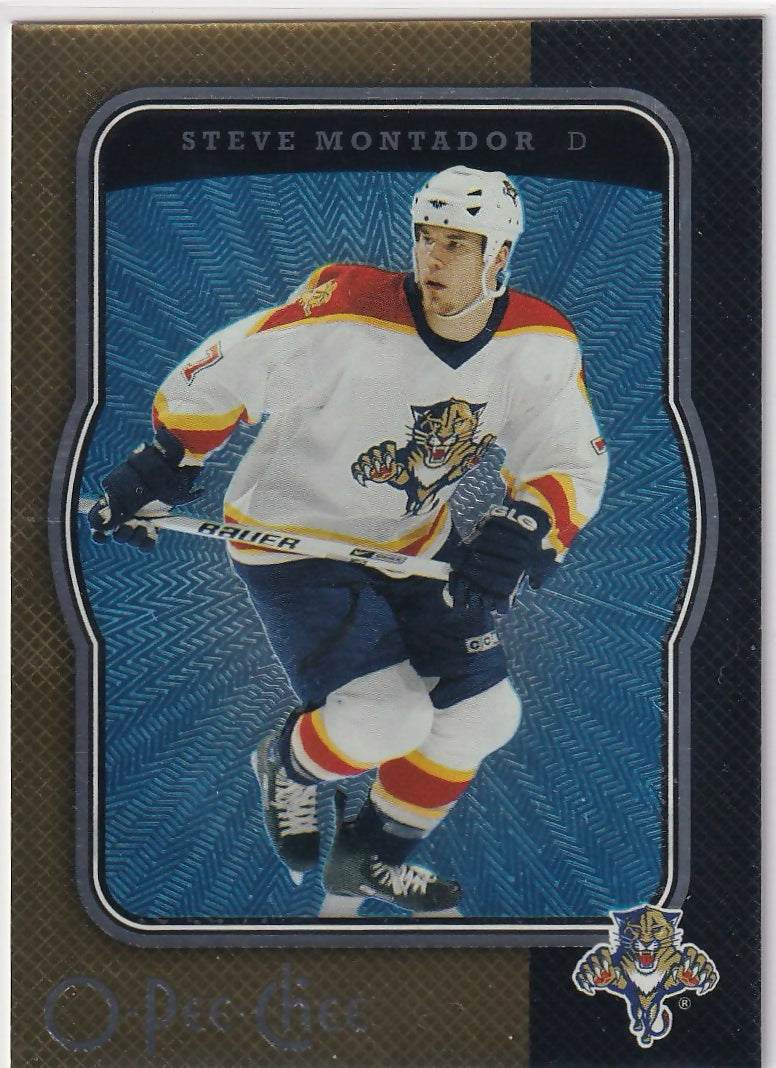 2007-08 O-Pee-Chee - Base #207 Steve Montador - Florida Panthers - A