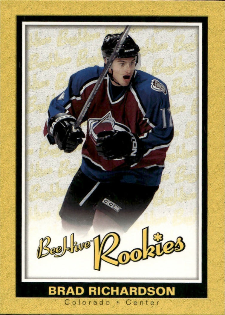 2005-06 Upper Deck Bee Hive - Base #94 Brad Richardson - Colorado Avalanche - A