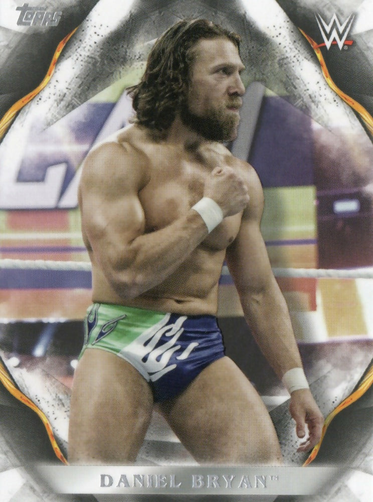 2019 Topps WWE Undisputed - Base #22 Daniel Bryan