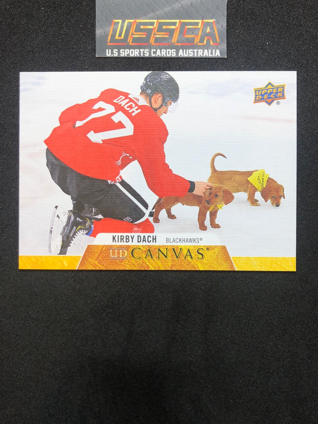 2020-21 Upper Deck Series 1 - UD Canvas #C18 Kirby Dach - Chicago Blackhawks